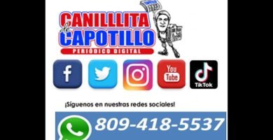 Cantantes de electrónica en los años 80 en Chile