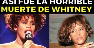 curiosidades sobre Whitney Houston
